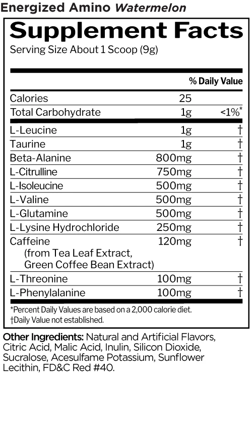Rule 1 – Energised Amino